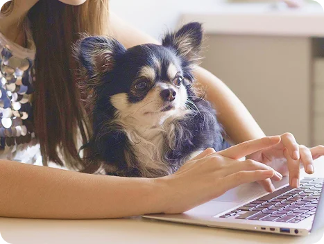 Tell us about your dog