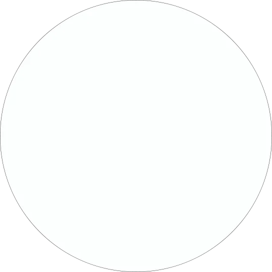 WordPress Development