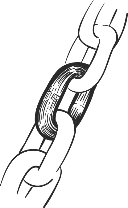 white label link building services