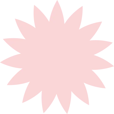 WordPress Development