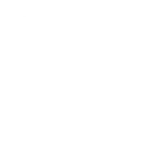 Google & Social Media Ads